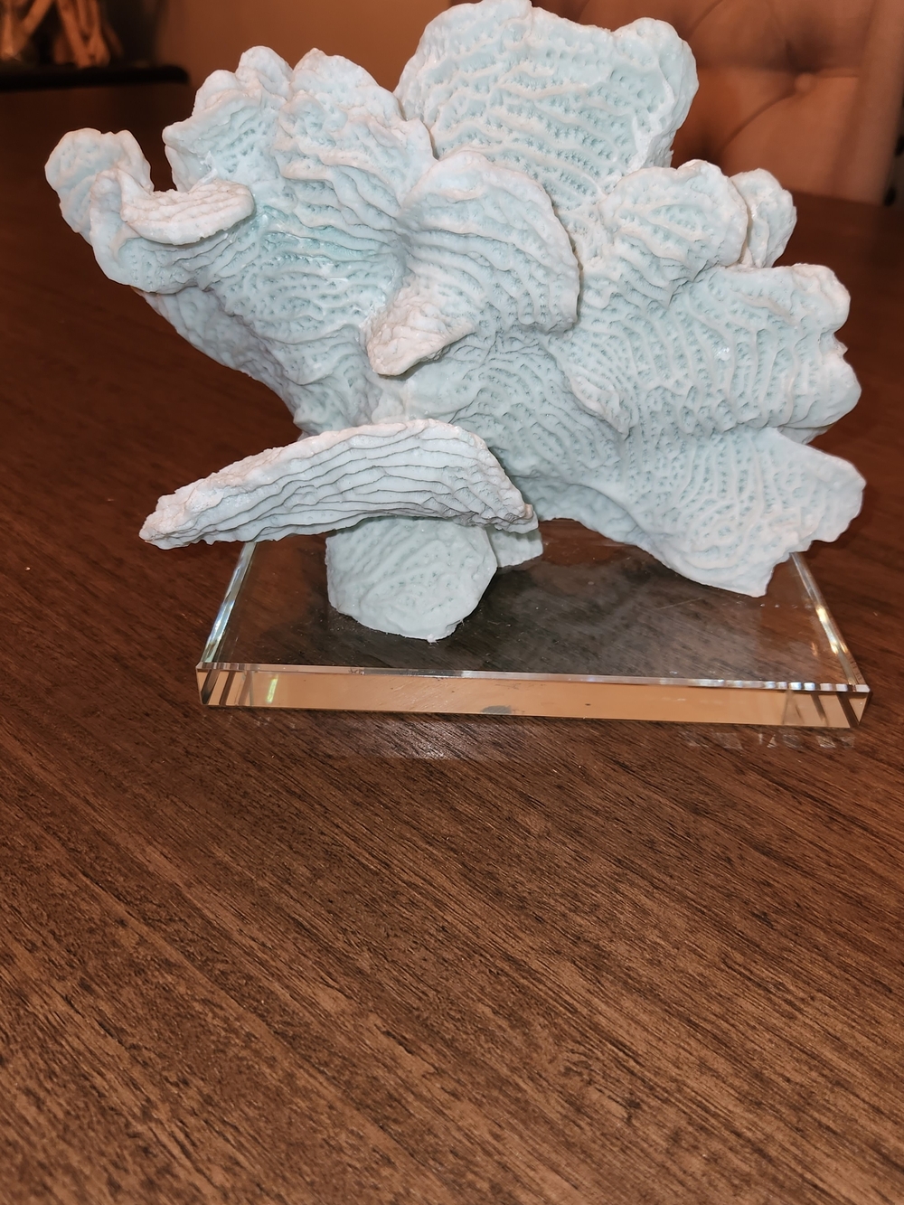 Light Aqua Decorative Coral Sculpture on Clear Base - Home Art